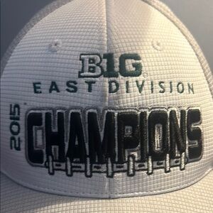 Michigan State Champions 2015 hat